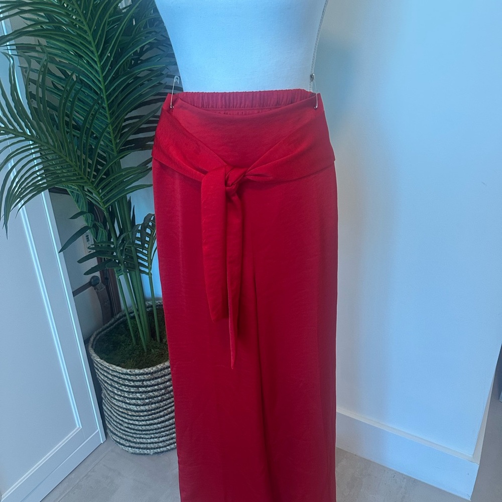 Express Red Satin Pants